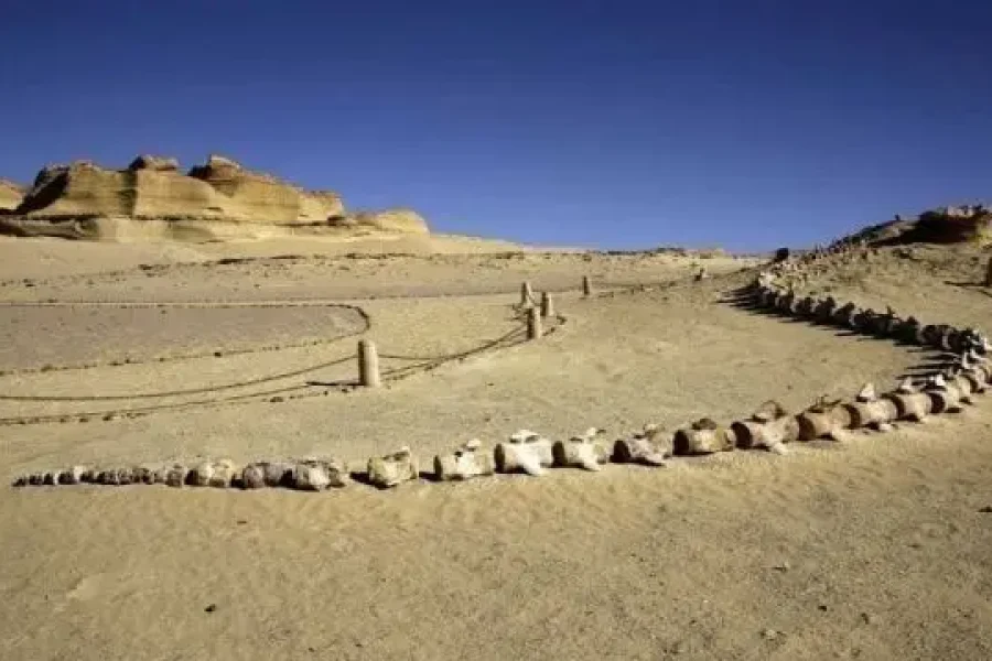 3 Days 2 Nights Cairo Fayoum Tours