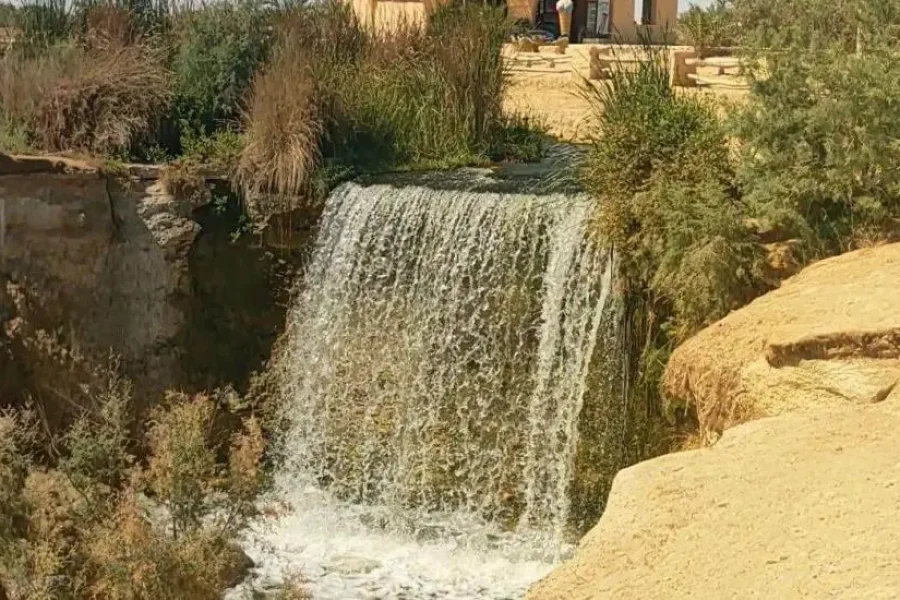 1 night, 2 day Camping Adventure in the Fayoum Desert